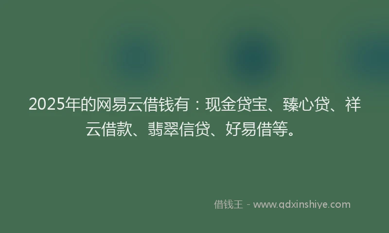 2025年的网易云借钱有：现金贷宝、臻心贷、祥云借款、翡翠信贷、好易借等。