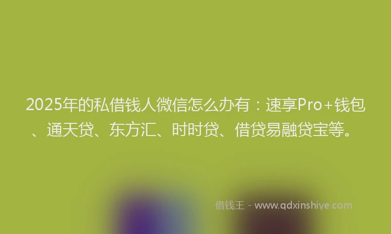 2025年的私借钱人微信怎么办有：速享Pro+钱包、通天贷、东方汇、时时贷、借贷易融贷宝等。