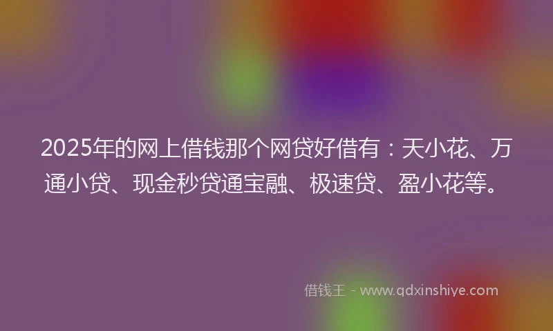 2025年的网上借钱那个网贷好借有：天小花、万通小贷、现金秒贷通宝融、极速贷、盈小花等。