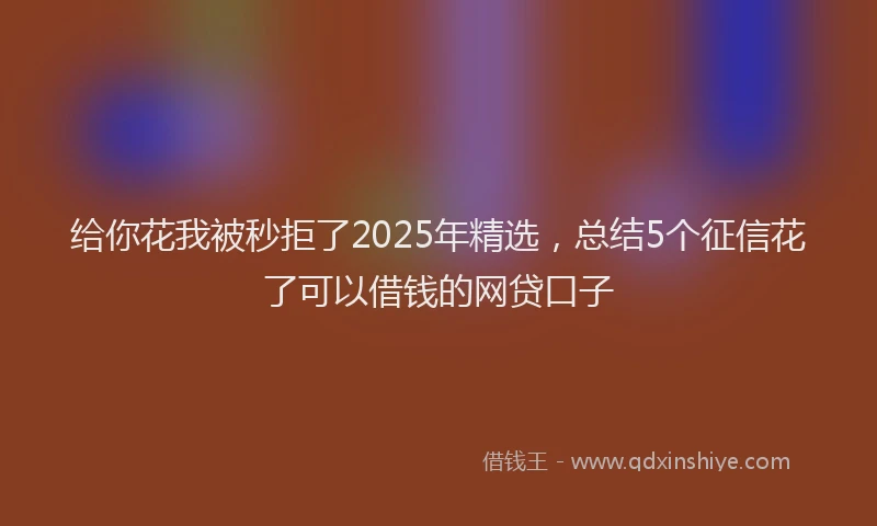 给你花我被秒拒了2025年精选，总结5个征信花了可以借钱的网贷口子