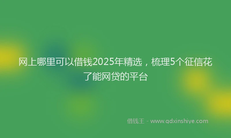 网上哪里可以借钱2025年精选，梳理5个征信花了能网贷的平台