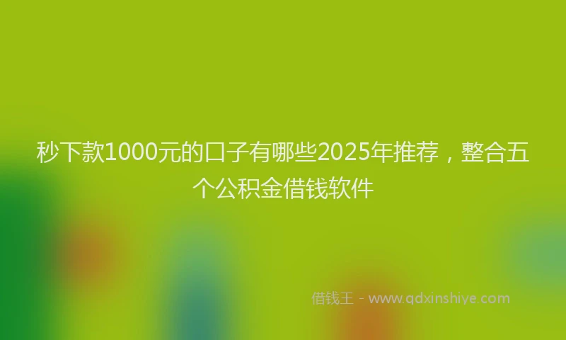 秒下款1000元的口子有哪些2025年推荐，整合五个公积金借钱软件
