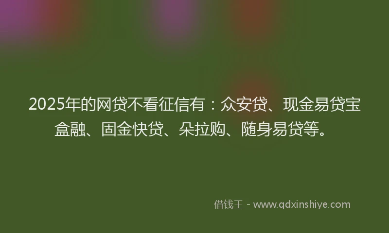 2025年的网贷不看征信有：众安贷、现金易贷宝盒融、固金快贷、朵拉购、随身易贷等。