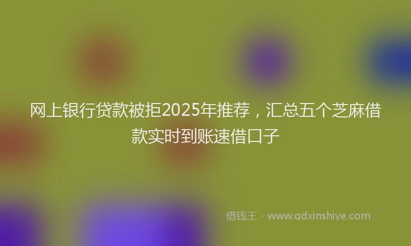 网上银行贷款被拒2025年推荐，汇总五个芝麻借款实时到账速借口子
