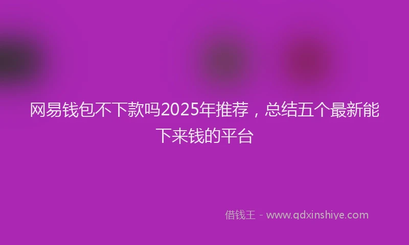 网易钱包不下款吗2025年推荐，总结五个最新能下来钱的平台