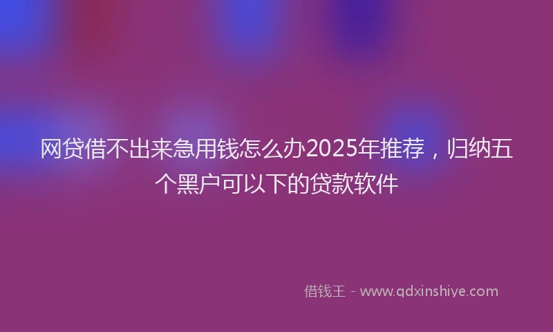 网贷借不出来急用钱怎么办2025年推荐，归纳五个黑户可以下的贷款软件