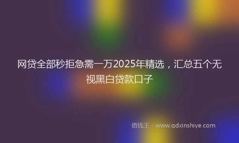 网贷全部秒拒急需一万2025年精选，汇总五个无视黑白贷款口子