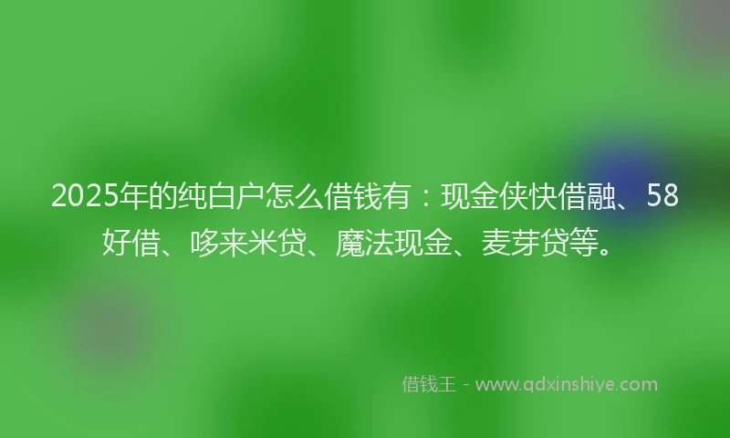 2025年的纯白户怎么借钱有：现金侠快借融、58好借、哆来米贷、魔法现金、麦芽贷等。