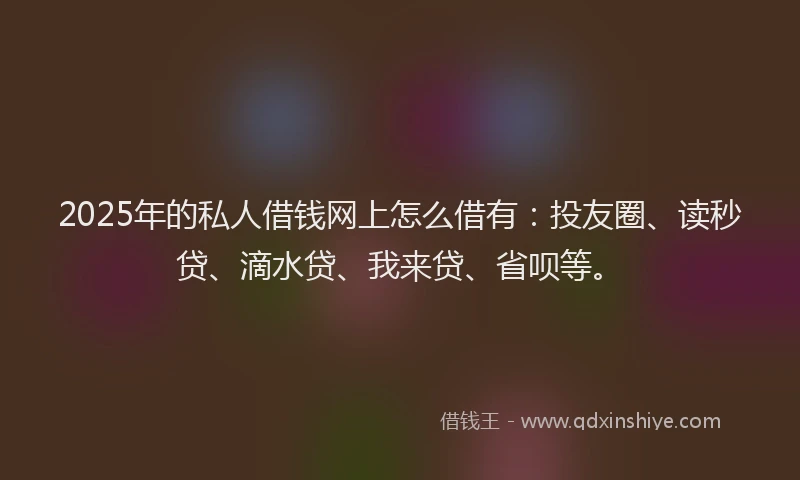 2025年的私人借钱网上怎么借有：投友圈、读秒贷、滴水贷、我来贷、省呗等。