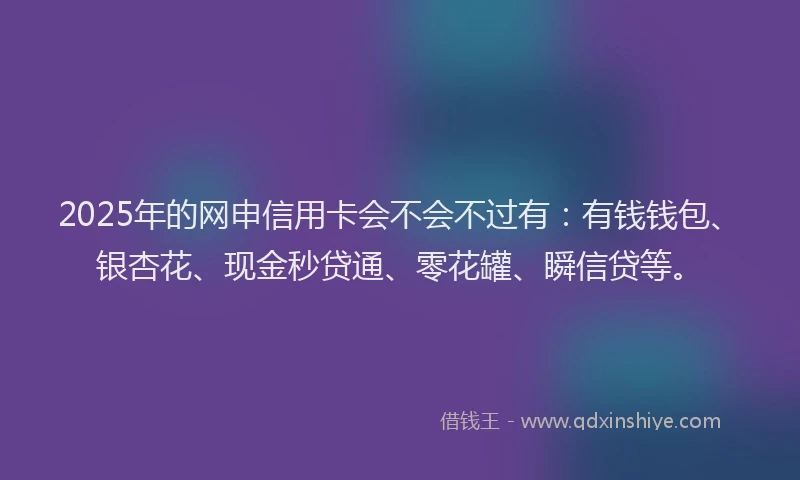 2025年的网申信用卡会不会不过有：有钱钱包、银杏花、现金秒贷通、零花罐、瞬信贷等。