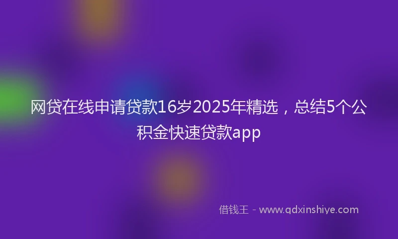 网贷在线申请贷款16岁2025年精选，总结5个公积金快速贷款app