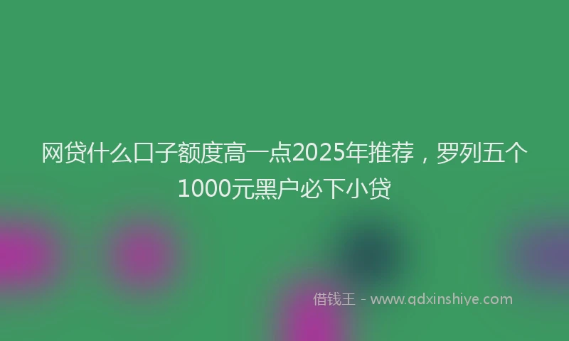 网贷什么口子额度高一点2025年推荐，罗列五个1000元黑户必下小贷
