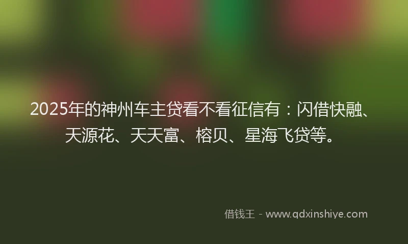 2025年的神州车主贷看不看征信有：闪借快融、天源花、天天富、榕贝、星海飞贷等。