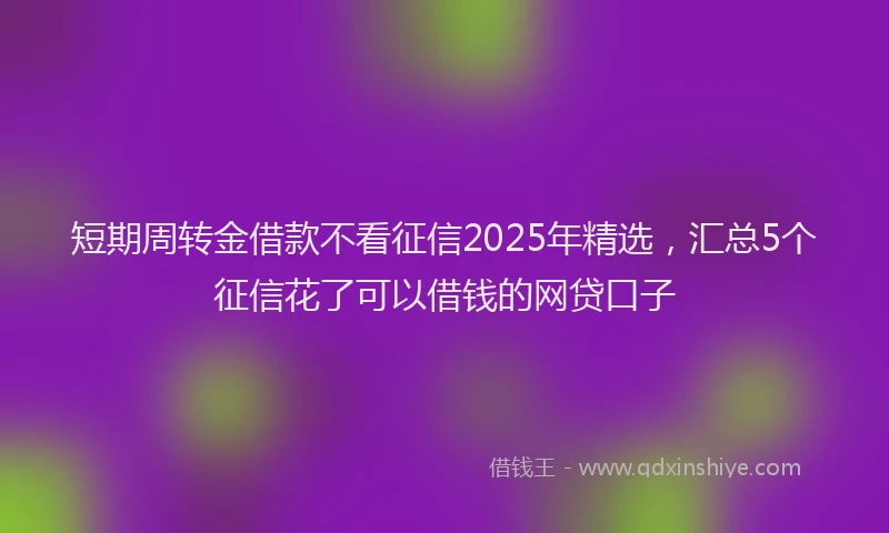 短期周转金借款不看征信2025年精选，汇总5个征信花了可以借钱的网贷口子