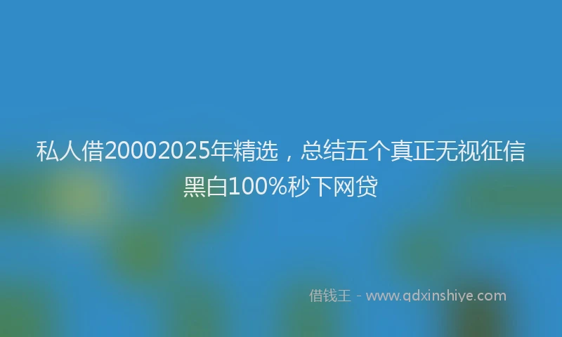 私人借20002025年精选，总结五个真正无视征信黑白100%秒下网贷