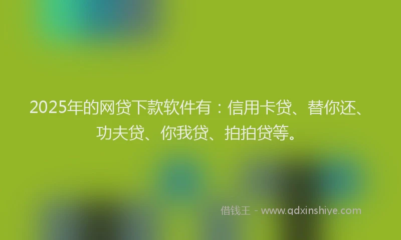2025年的网贷下款软件有：信用卡贷、替你还、功夫贷、你我贷、拍拍贷等。