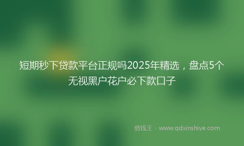 短期秒下贷款平台正规吗2025年精选，盘点5个无视黑户花户必下款口子