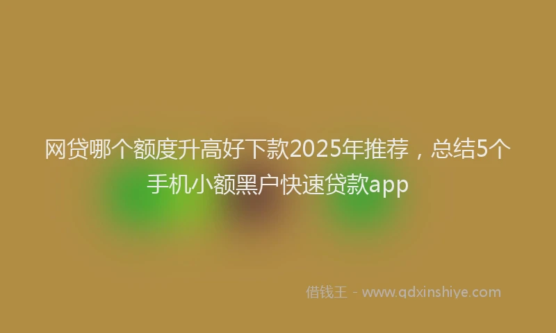 网贷哪个额度升高好下款2025年推荐，总结5个手机小额黑户快速贷款app