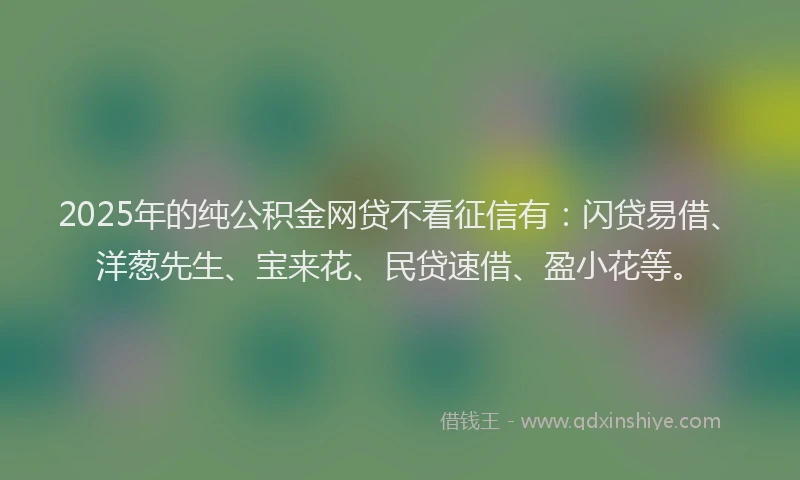 2025年的纯公积金网贷不看征信有：闪贷易借、洋葱先生、宝来花、民贷速借、盈小花等。