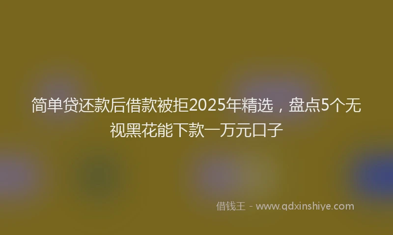 简单贷还款后借款被拒2025年精选，盘点5个无视黑花能下款一万元口子