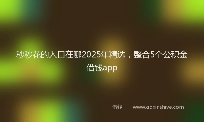 秒秒花的入口在哪2025年精选，整合5个公积金借钱app