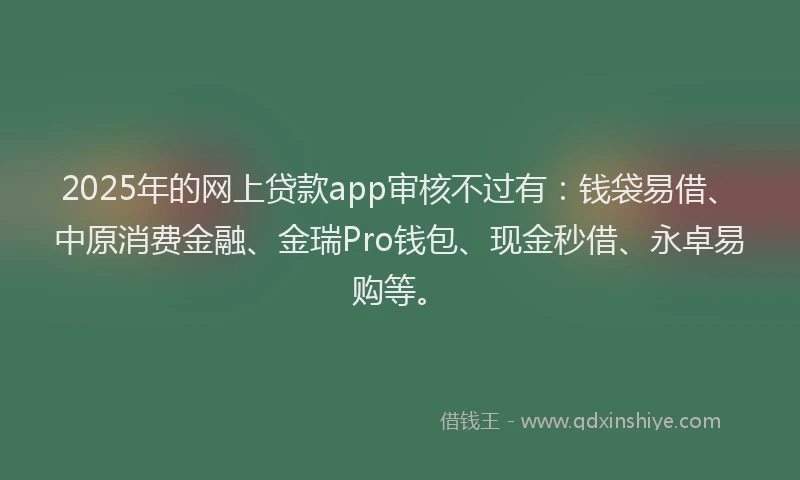 2025年的网上贷款app审核不过有：钱袋易借、中原消费金融、金瑞Pro钱包、现金秒借、永卓易购等。