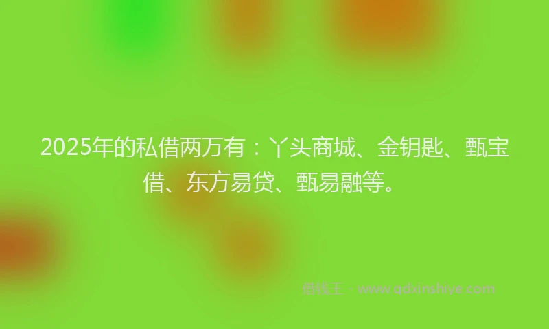 2025年的私借两万有：丫头商城、金钥匙、甄宝借、东方易贷、甄易融等。