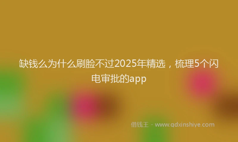 缺钱么为什么刷脸不过2025年精选，梳理5个闪电审批的app