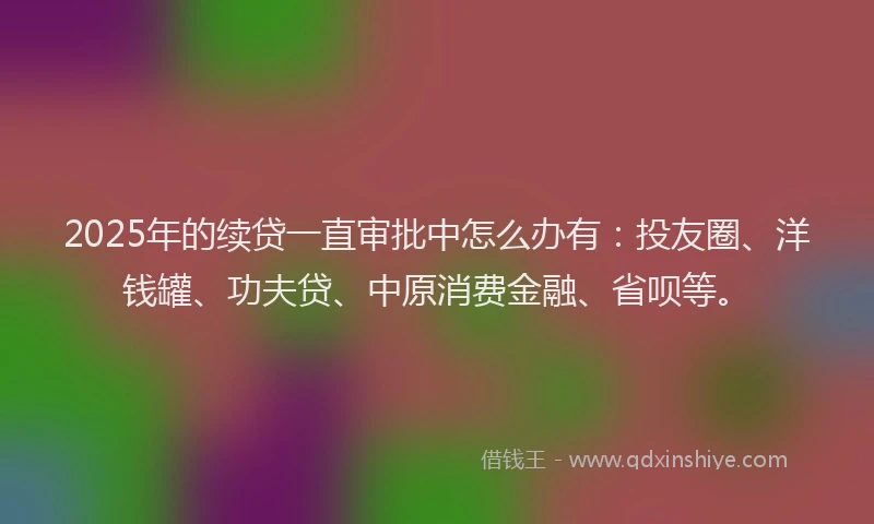 2025年的续贷一直审批中怎么办有：投友圈、洋钱罐、功夫贷、中原消费金融、省呗等。