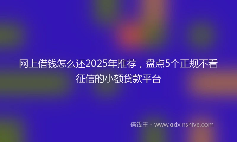 网上借钱怎么还2025年推荐，盘点5个正规不看征信的小额贷款平台