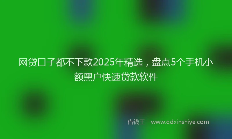 网贷口子都不下款2025年精选，盘点5个手机小额黑户快速贷款软件