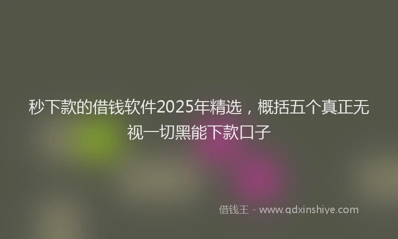 秒下款的借钱软件2025年精选，概括五个真正无视一切黑能下款口子
