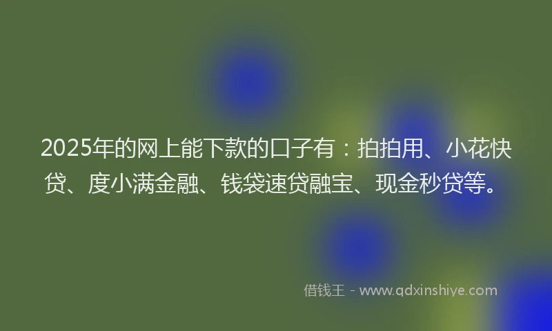 2025年的网上能下款的口子有：拍拍用、小花快贷、度小满金融、钱袋速贷融宝、现金秒贷等。
