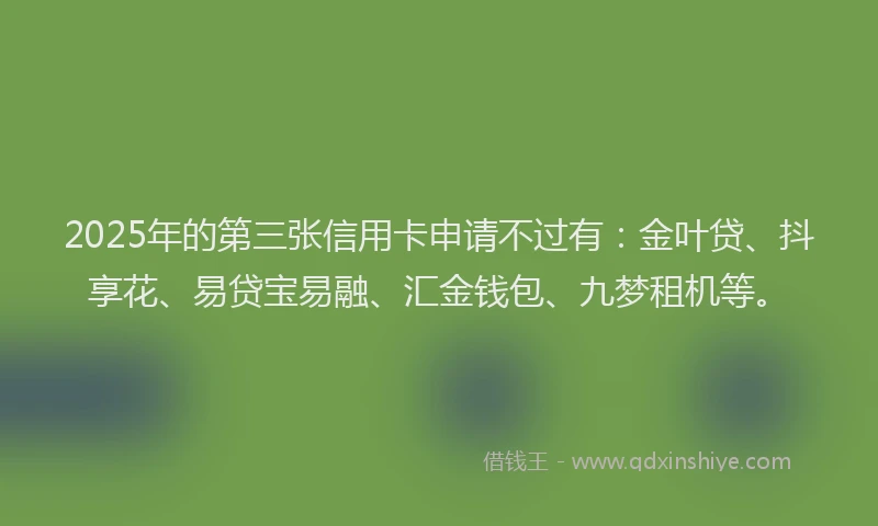 2025年的第三张信用卡申请不过有：金叶贷、抖享花、易贷宝易融、汇金钱包、九梦租机等。