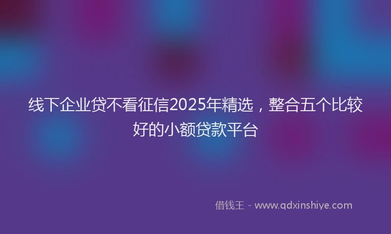 线下企业贷不看征信2025年精选，整合五个比较好的小额贷款平台