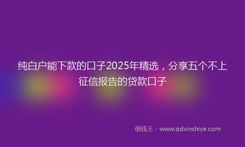 纯白户能下款的口子2025年精选，分享五个不上征信报告的贷款口子