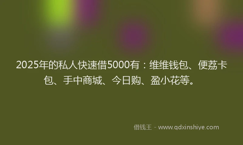 2025年的私人快速借5000有：维维钱包、便荔卡包、手中商城、今日购、盈小花等。
