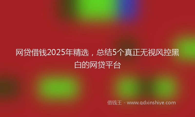 网贷借钱2025年精选，总结5个真正无视风控黑白的网贷平台