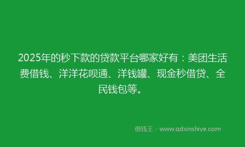 2025年的秒下款的贷款平台哪家好有：美团生活费借钱、洋洋花呗通、洋钱罐、现金秒借贷、全民钱包等。