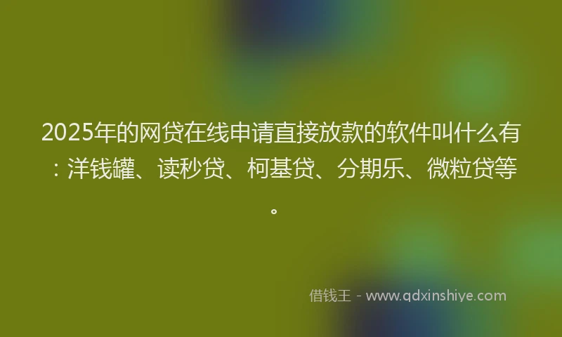 2025年的网贷在线申请直接放款的软件叫什么有：洋钱罐、读秒贷、柯基贷、分期乐、微粒贷等。