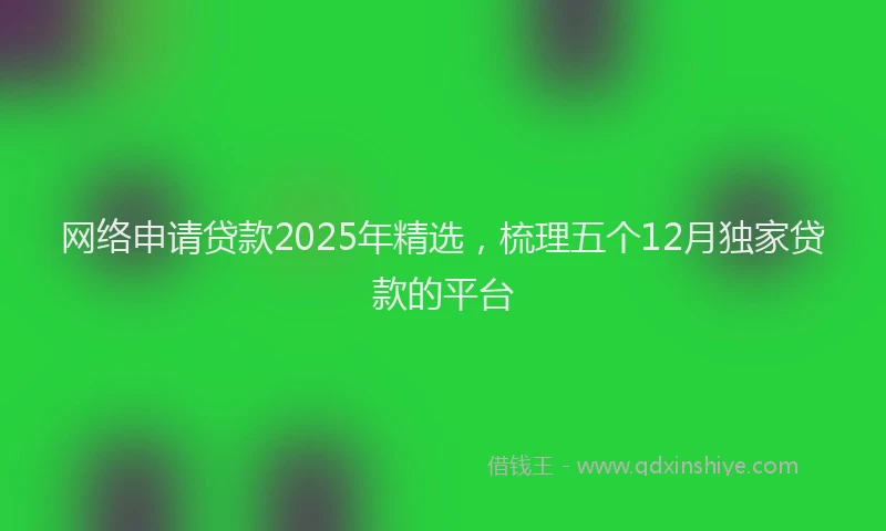 网络申请贷款2025年精选，梳理五个12月独家贷款的平台