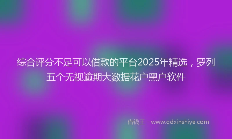 综合评分不足可以借款的平台2025年精选，罗列五个无视逾期大数据花户黑户软件