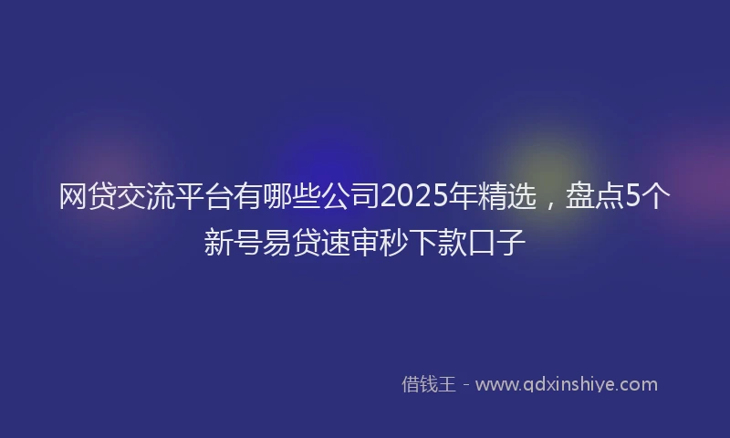 网贷交流平台有哪些公司2025年精选，盘点5个新号易贷速审秒下款口子