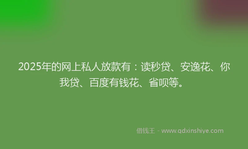 2025年的网上私人放款有：读秒贷、安逸花、你我贷、百度有钱花、省呗等。