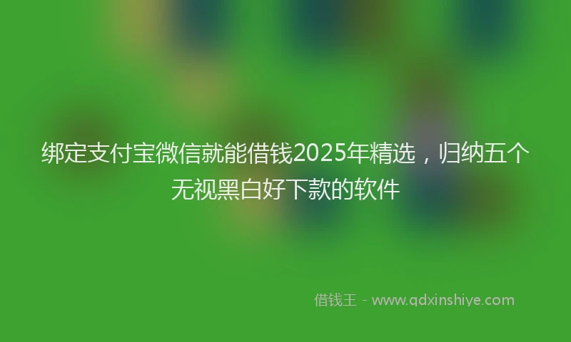 绑定支付宝微信就能借钱2025年精选，归纳五个无视黑白好下款的软件