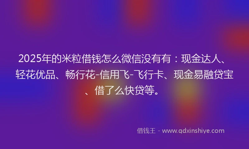 2025年的米粒借钱怎么微信没有有：现金达人、轻花优品、畅行花-信用飞-飞行卡、现金易融贷宝、借了么快贷等。