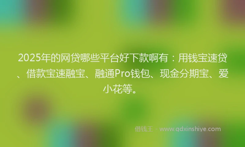 2025年的网贷哪些平台好下款啊有：用钱宝速贷、借款宝速融宝、融通Pro钱包、现金分期宝、爱小花等。