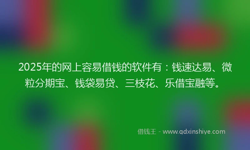 2025年的网上容易借钱的软件有：钱速达易、微粒分期宝、钱袋易贷、三枝花、乐借宝融等。