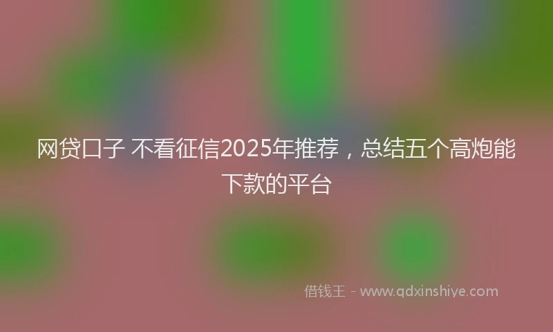 网贷口子 不看征信2025年推荐，总结五个高炮能下款的平台