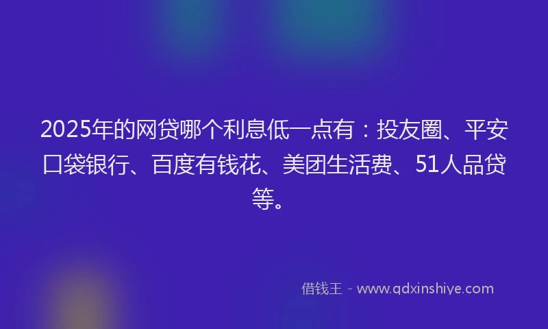 2025年的网贷哪个利息低一点有：投友圈、平安口袋银行、百度有钱花、美团生活费、51人品贷等。